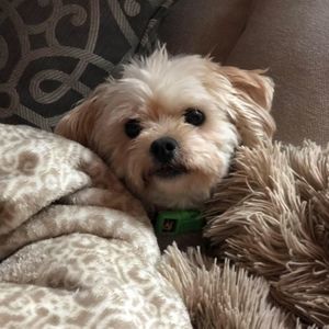 Meet your Posher, Mickelle